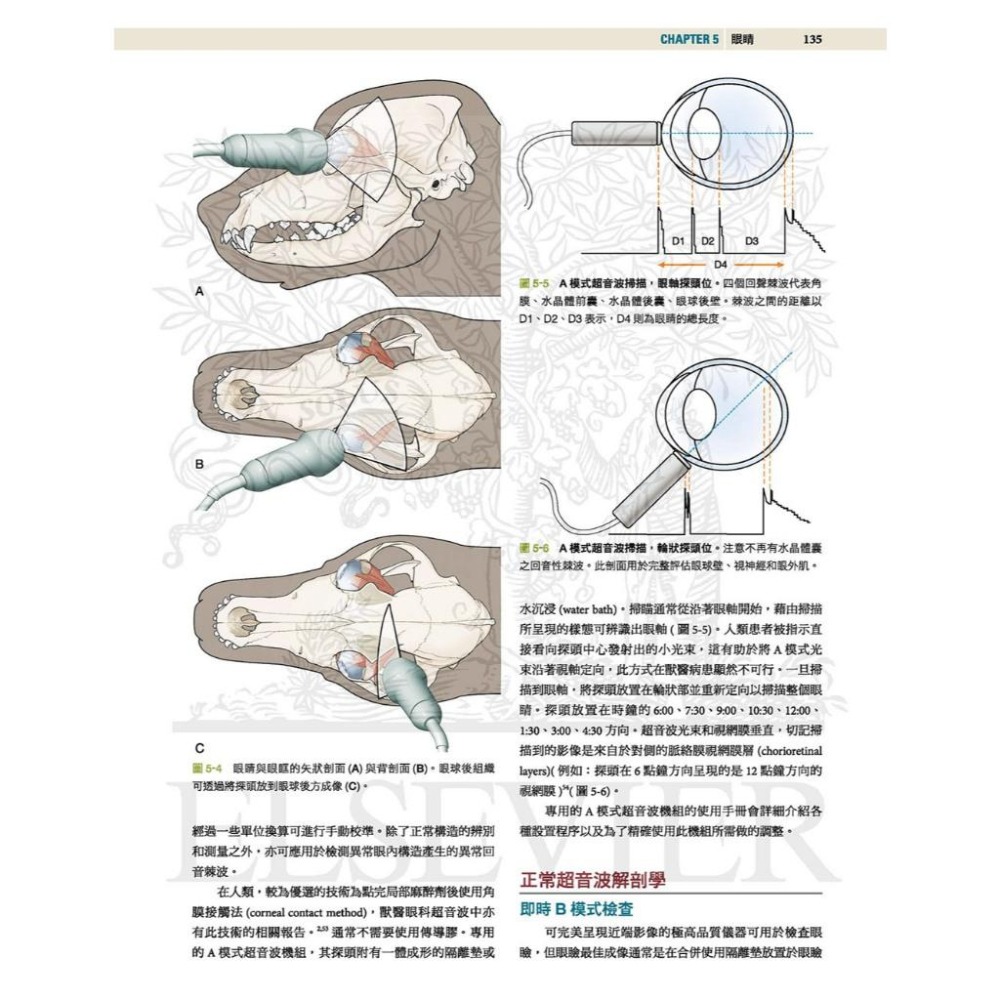 魏啥麻-《書》小動物診斷超音波 第三版 (上冊+下冊)(下單後進貨) 專業獸醫書籍-細節圖2