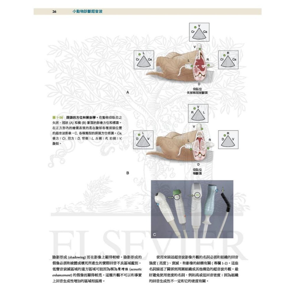 魏啥麻-《書》小動物診斷超音波 第三版 (上冊+下冊)(下單後進貨) 專業獸醫書籍-細節圖3