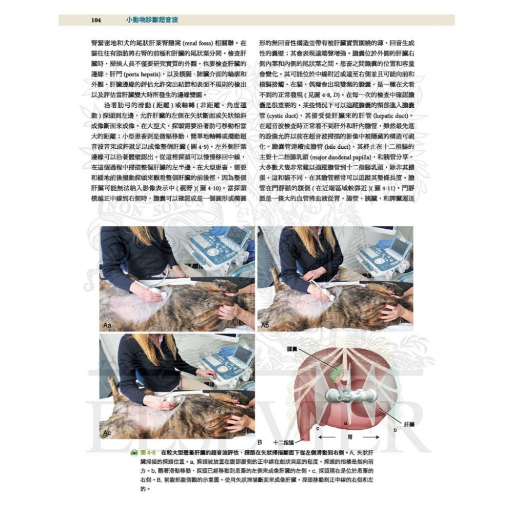魏啥麻-《書》小動物診斷超音波 第三版 (上冊+下冊)(下單後進貨) 專業獸醫書籍-細節圖4