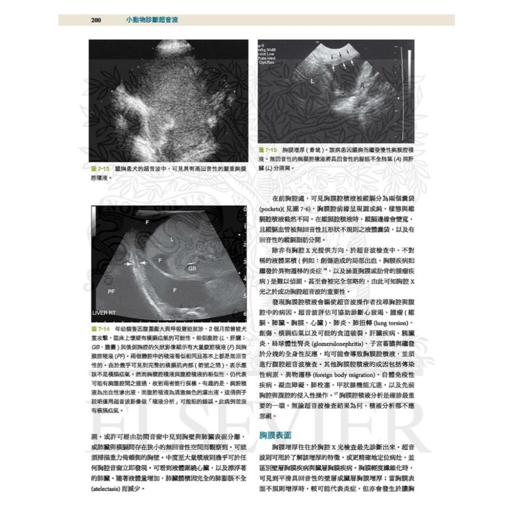 魏啥麻-《書》小動物診斷超音波 第三版 (上冊+下冊)(下單後進貨) 專業獸醫書籍-細節圖5