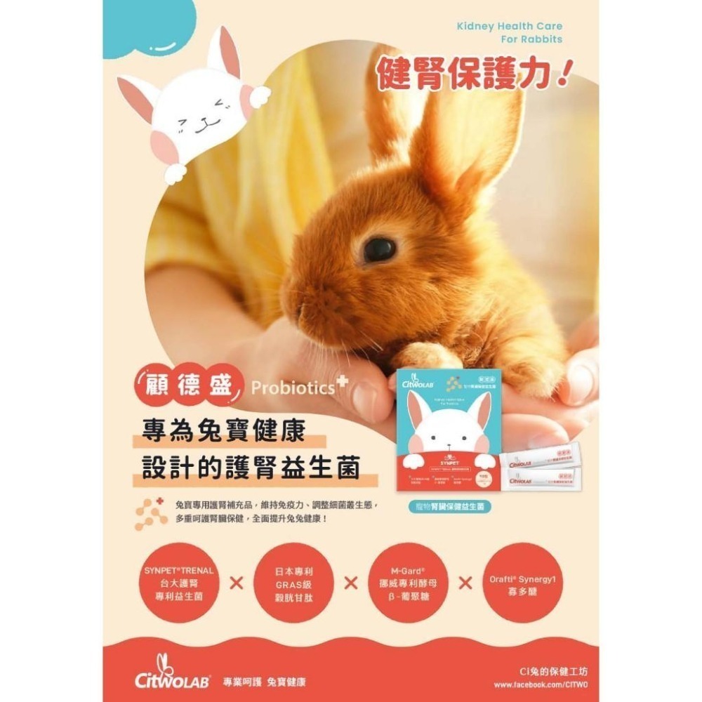 魏啥麻-CI兔 Citwo LAB顧德盛 腎臟保健益生菌(水蜜桃味 腸道保健 台大護腎專利益生菌)兔 天竺鼠保健品-細節圖3