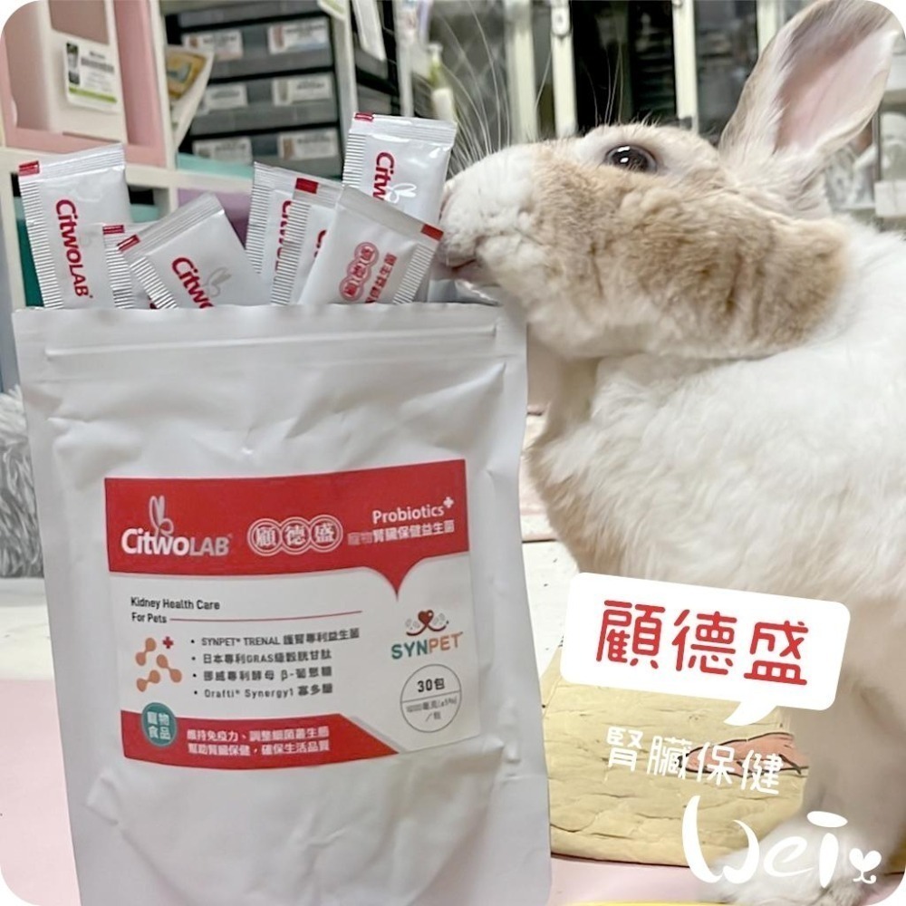 魏啥麻-CI兔 Citwo LAB顧德盛 腎臟保健益生菌(水蜜桃味 腸道保健 台大護腎專利益生菌)兔 天竺鼠保健品-細節圖9