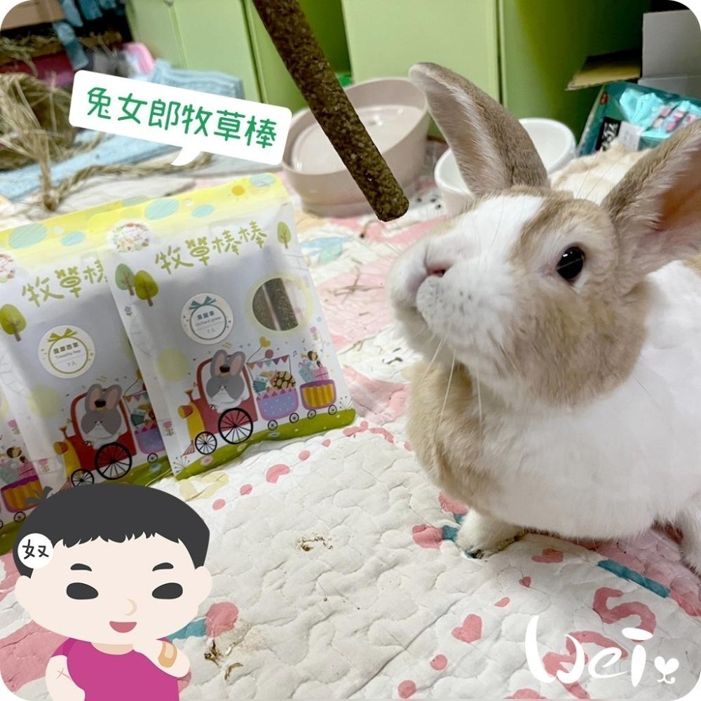 魏啥麻-兔女郎 果園草牧草棒棒 7入 (含菊苣纖維(益生元) 純草無添加)(兔 天竺鼠 龍貓可)-細節圖3