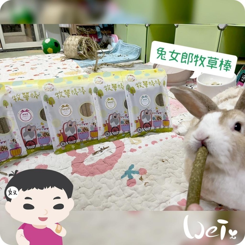 魏啥麻-兔女郎 提摩西牧草棒棒 7入 (含菊苣纖維(益生元) 純草無添加)(兔 天竺鼠 龍貓可)-細節圖3