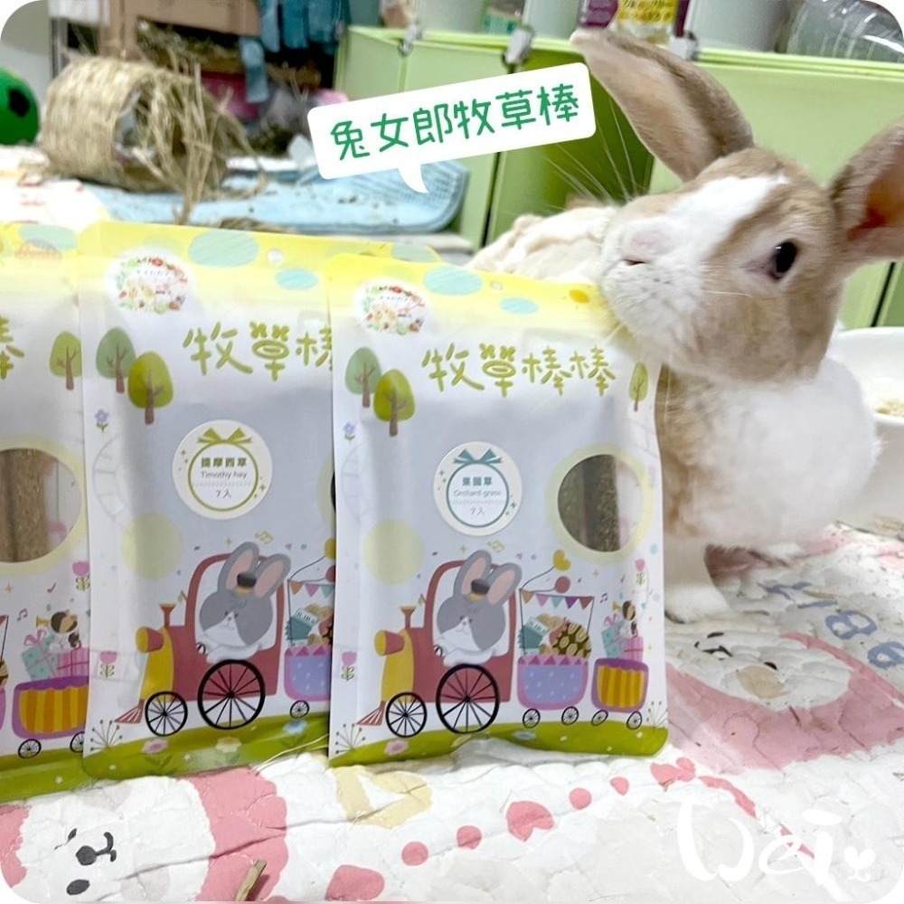 魏啥麻-兔女郎 提摩西牧草棒棒 7入 (含菊苣纖維(益生元) 純草無添加)(兔 天竺鼠 龍貓可)-細節圖6
