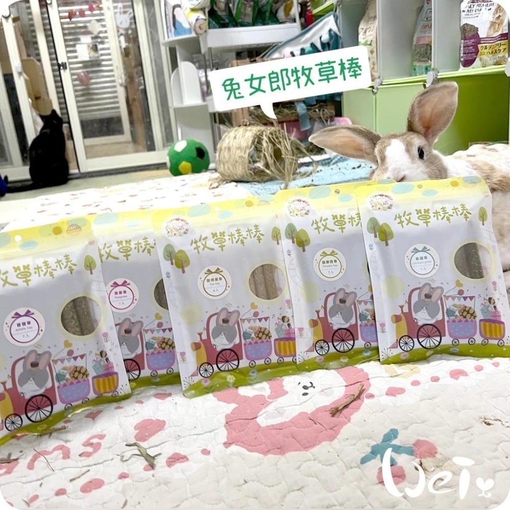 魏啥麻-兔女郎 提摩西牧草棒棒 7入 (含菊苣纖維(益生元) 純草無添加)(兔 天竺鼠 龍貓可)-細節圖7