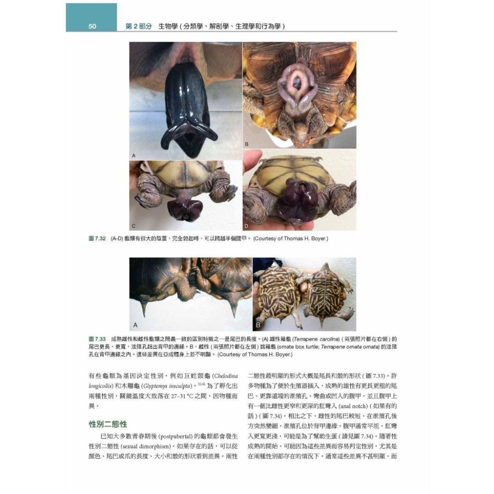 魏啥麻-《書》Mader’s兩棲與爬蟲內外科(第3版)(上冊) (下單後進貨) 專業獸醫書籍-細節圖3
