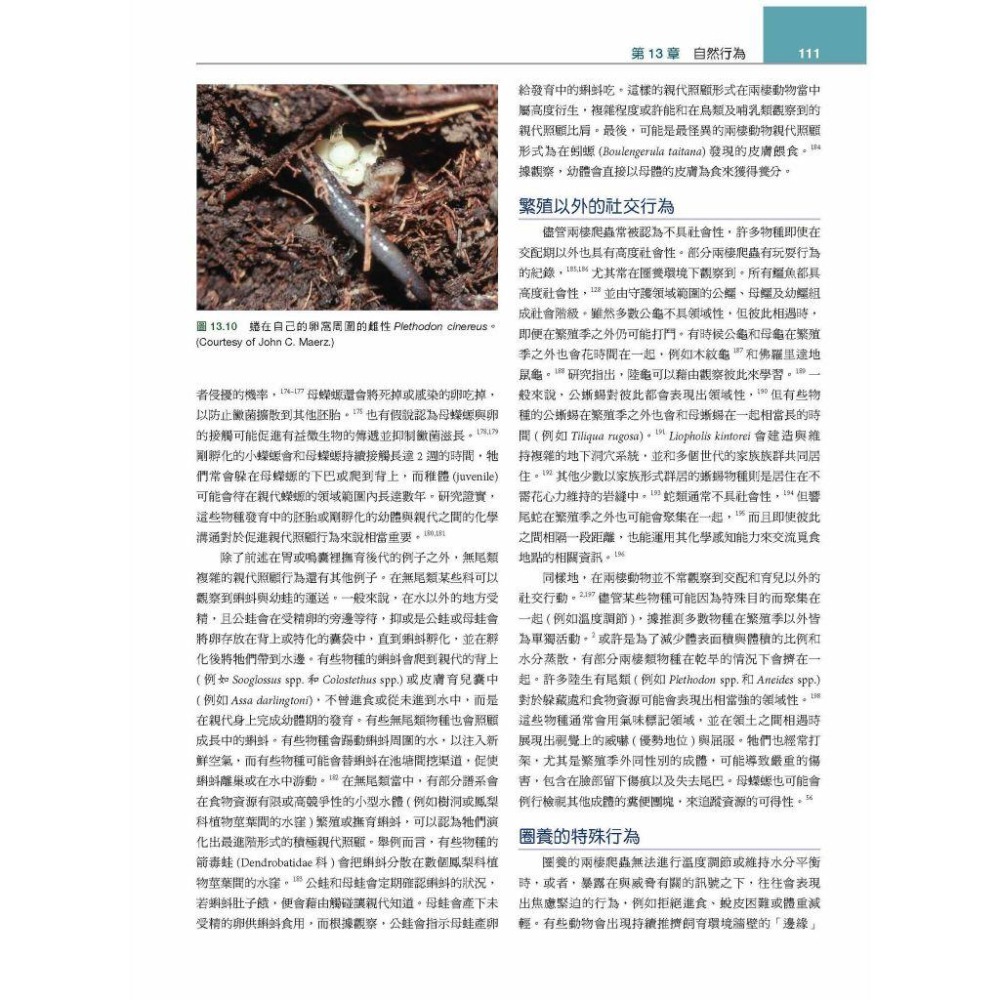 魏啥麻-《書》Mader’s兩棲與爬蟲內外科(第3版)(上冊) (下單後進貨) 專業獸醫書籍-細節圖4