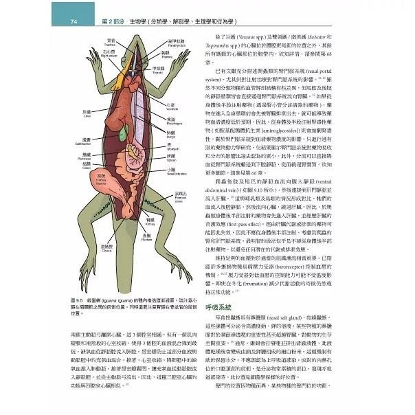魏啥麻-《書》Mader’s兩棲與爬蟲內外科(第3版)(上冊) (下單後進貨) 專業獸醫書籍-細節圖5
