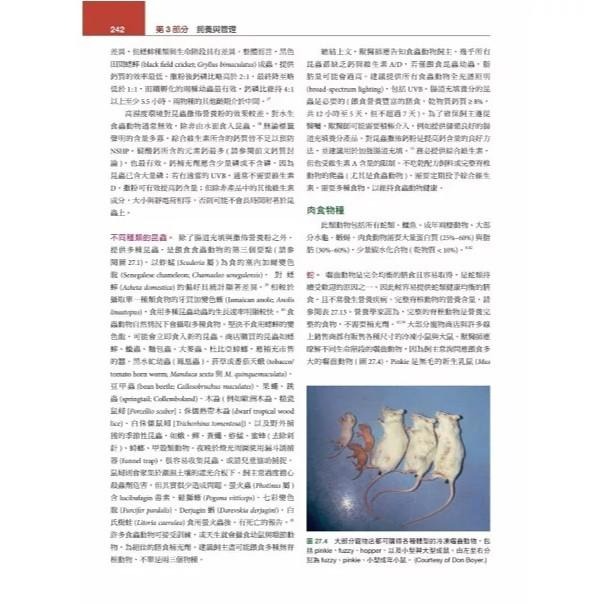 魏啥麻-《書》Mader’s兩棲與爬蟲內外科(第3版)(上冊) (下單後進貨) 專業獸醫書籍-細節圖6