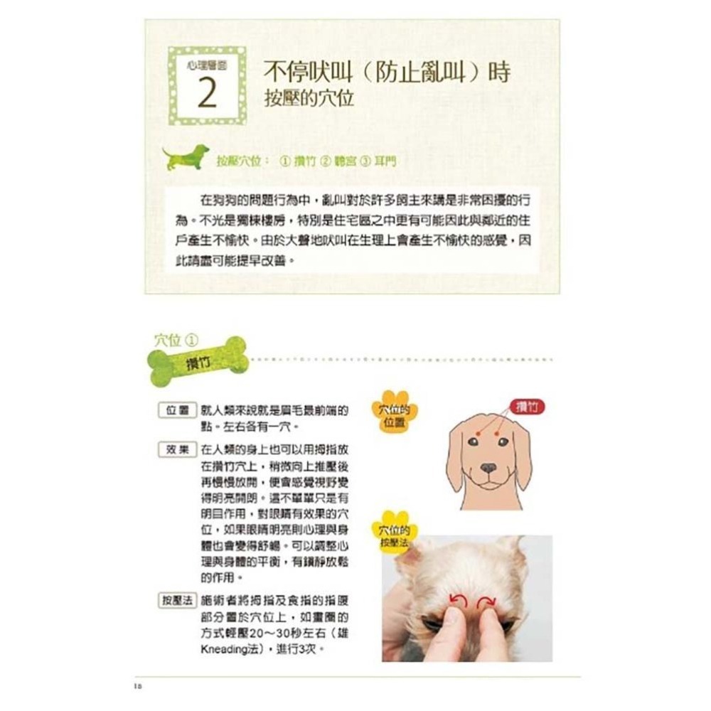 魏啥麻-《書》狗狗經穴按摩【圖解版】：每天5分鐘，提升愛犬的生理與心理療癒效果！-細節圖5