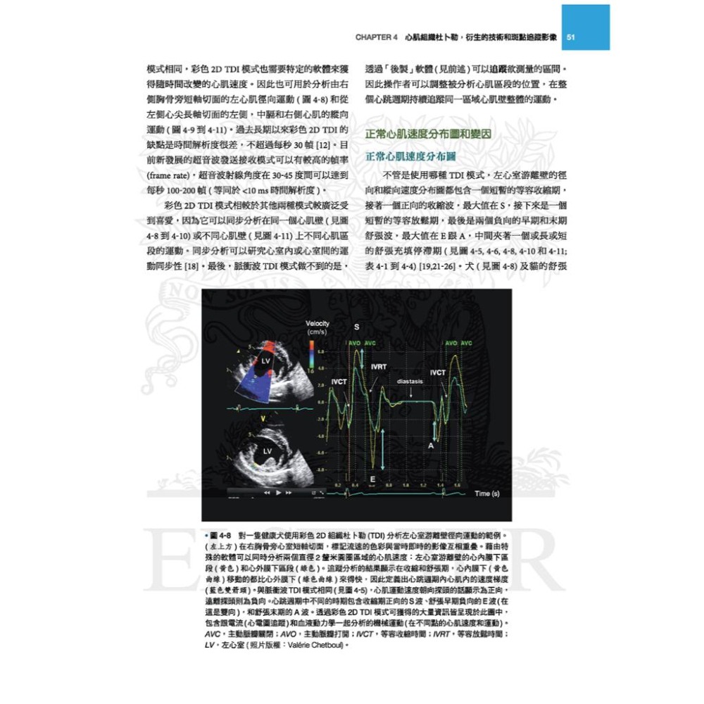 魏啥麻-《書》犬貓臨床心臟超音波 (下單後進貨) 專業獸醫書籍-細節圖4