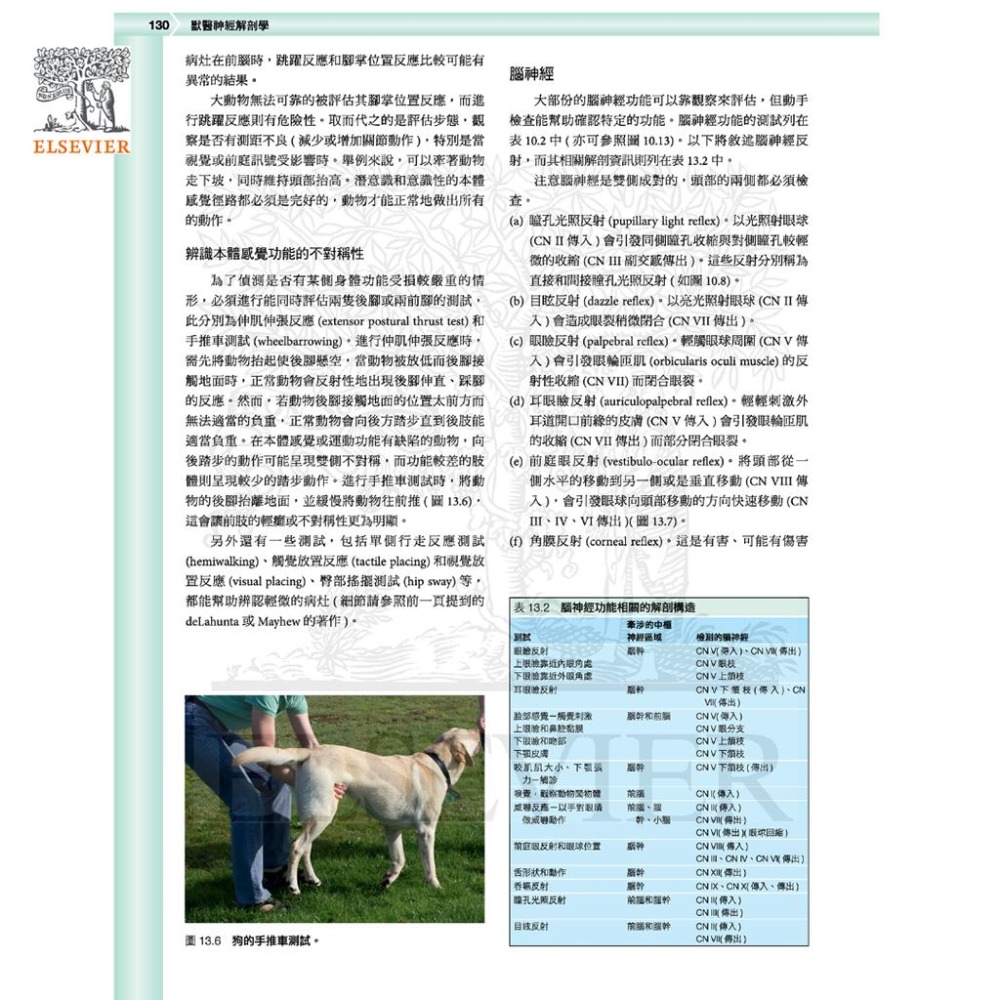 魏啥麻-《書》獸醫臨床神經解剖學 (下單後進貨) 專業獸醫書籍-細節圖3