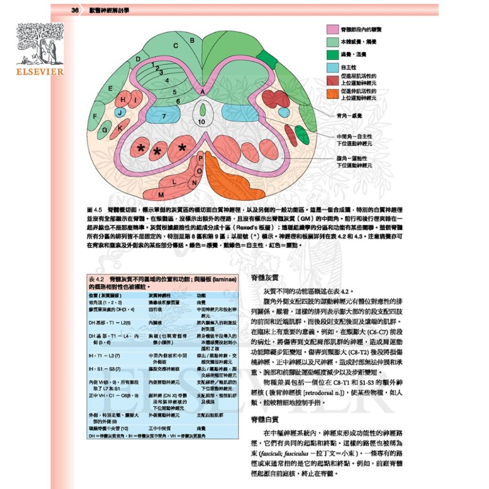魏啥麻-《書》獸醫臨床神經解剖學 (下單後進貨) 專業獸醫書籍-細節圖6