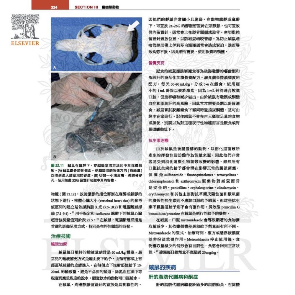 魏啥麻-《書》貂、兔與囓齒類動物：臨床內外科，第四版(下單後進貨) 專業獸醫書籍-細節圖3