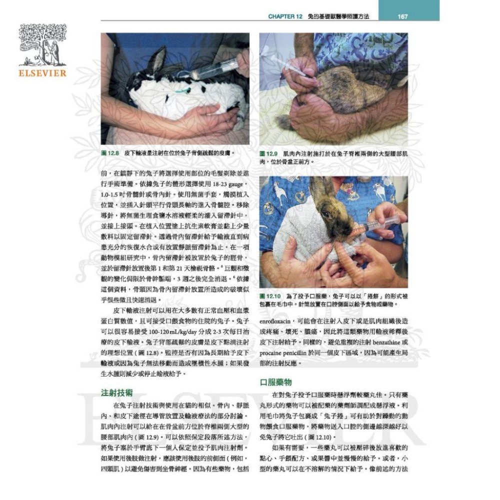 魏啥麻-《書》貂、兔與囓齒類動物：臨床內外科，第四版(下單後進貨) 專業獸醫書籍-細節圖6