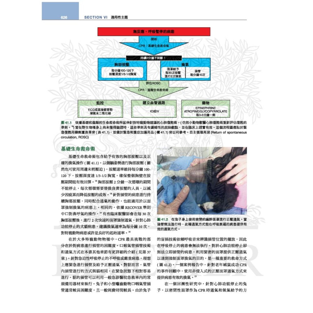 魏啥麻-《書》貂、兔與囓齒類動物：臨床內外科，第四版(下單後進貨) 專業獸醫書籍-細節圖7