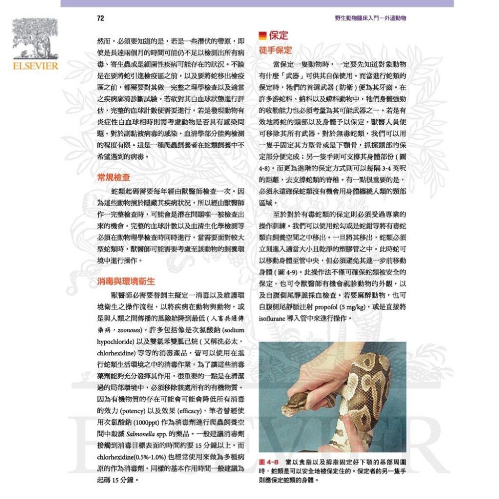 魏啥麻-《書》小野生動物臨床入門：外溫動物 (下單後進貨) 專業獸醫書籍-細節圖4