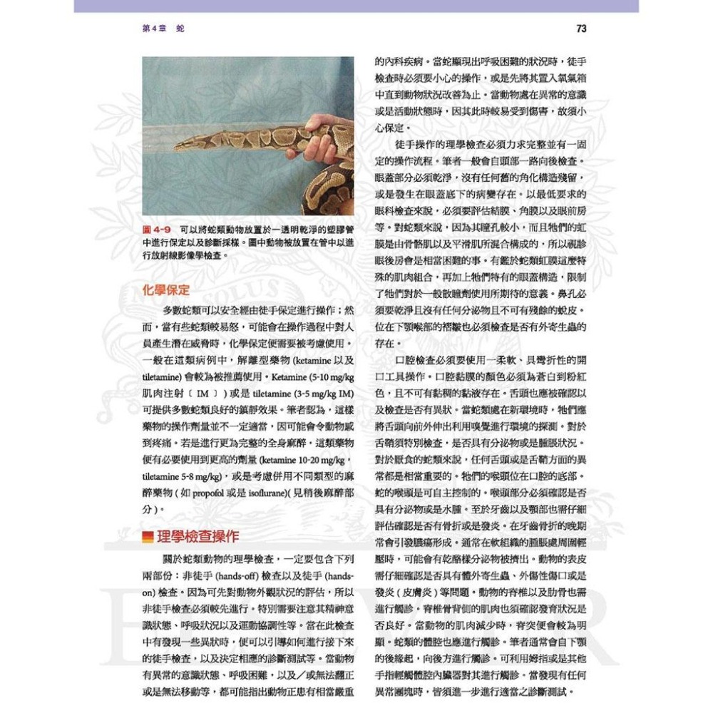 魏啥麻-《書》小野生動物臨床入門：外溫動物 (下單後進貨) 專業獸醫書籍-細節圖5