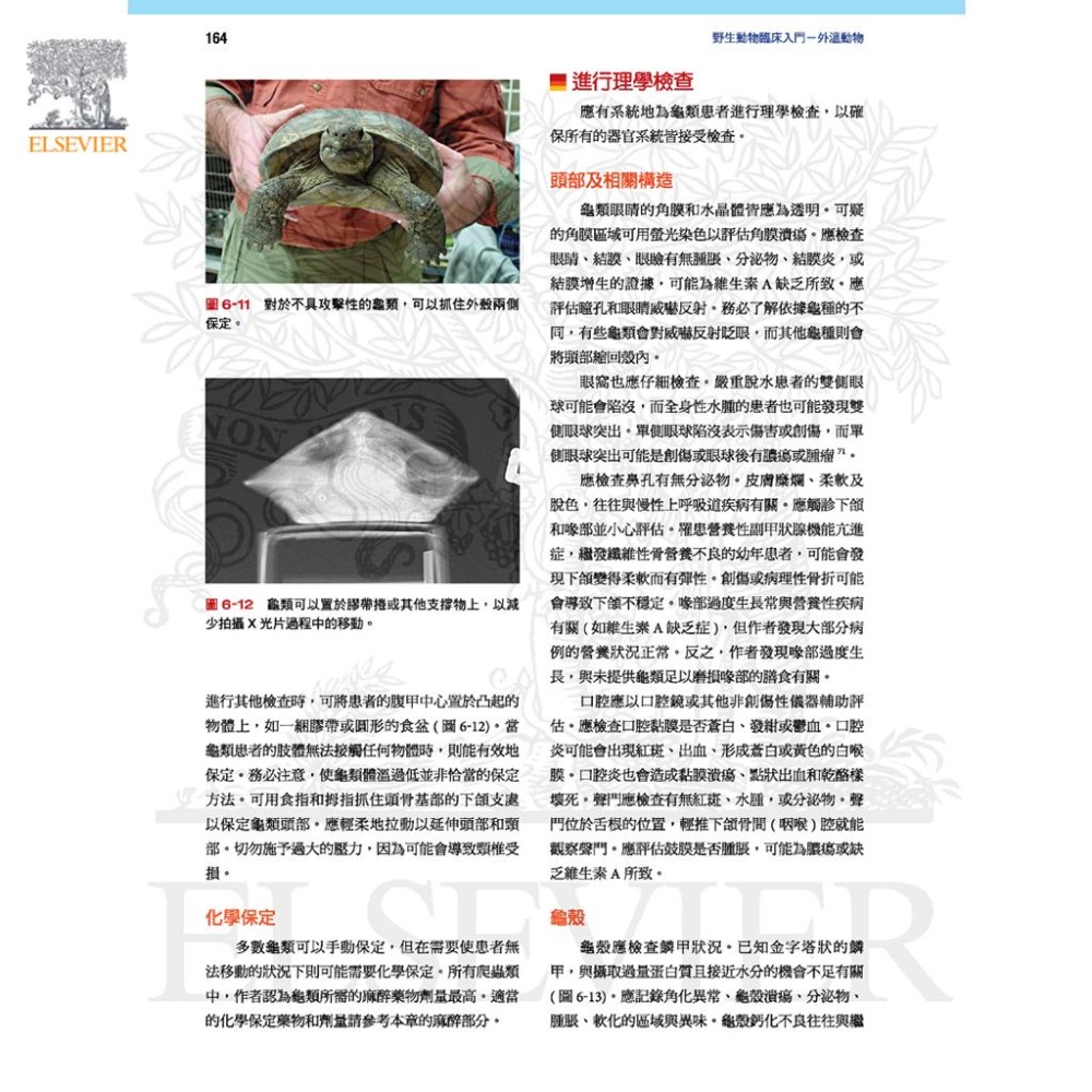 魏啥麻-《書》小野生動物臨床入門：外溫動物 (下單後進貨) 專業獸醫書籍-細節圖6