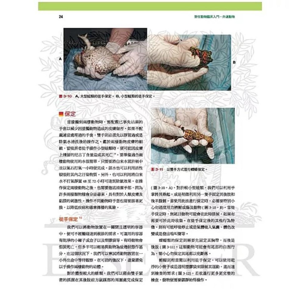 魏啥麻-《書》小野生動物臨床入門：外溫動物 (下單後進貨) 專業獸醫書籍-細節圖8