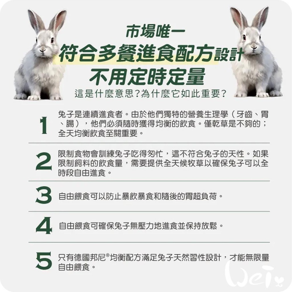 魏啥麻-Bunny德國邦尼高齡兔草本養生無糖配方(小顆三柱顆粒 81種草本 含螺旋藻 銀杏葉 人蔘根) 老兔飼料-細節圖7