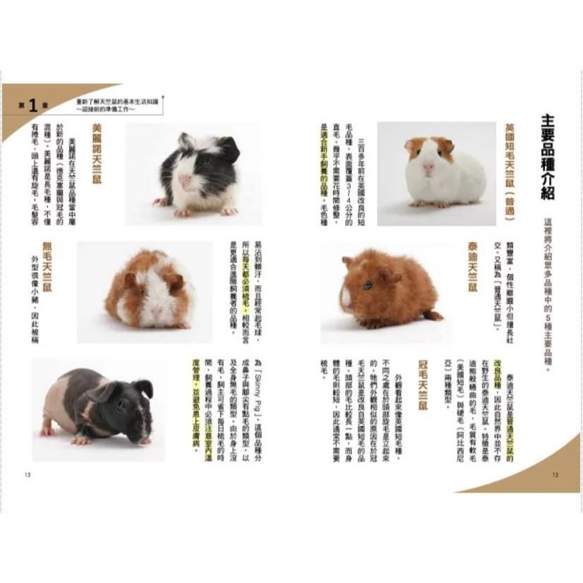 魏啥麻-《書》第一次養天竺鼠就上手  モルモット 飼育バイブル 長く元気に暮らす50のポイント-細節圖4