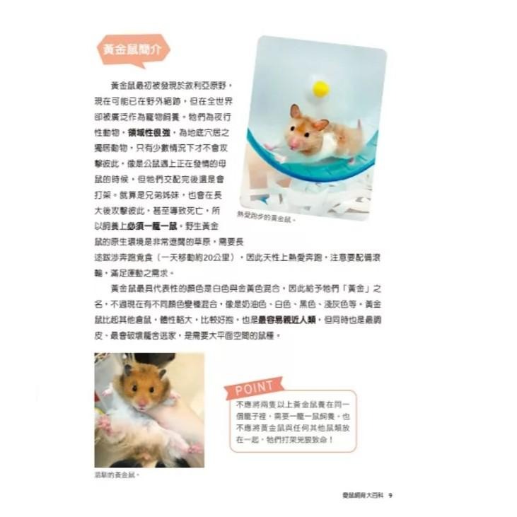 魏啥麻-《書》愛鼠飼育大百科：常見寵物鼠品種介紹與飼養相處方法全收錄！(愛鼠協會出版)-細節圖2