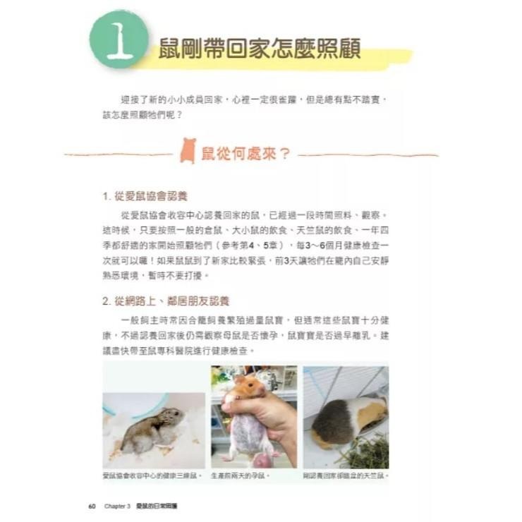 魏啥麻-《書》愛鼠飼育大百科：常見寵物鼠品種介紹與飼養相處方法全收錄！(愛鼠協會出版)-細節圖5