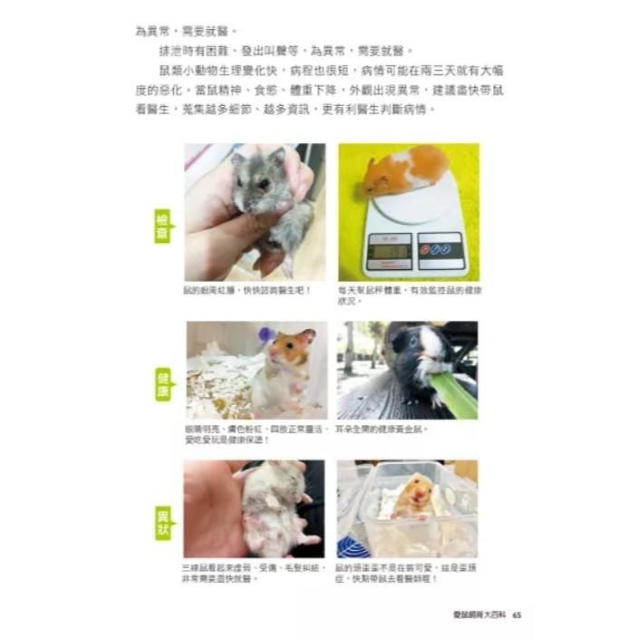 魏啥麻-《書》愛鼠飼育大百科：常見寵物鼠品種介紹與飼養相處方法全收錄！(愛鼠協會出版)-細節圖6