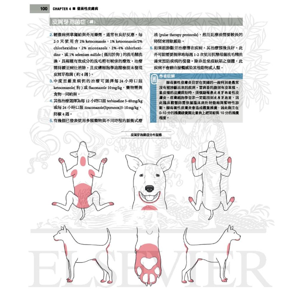 魏啥麻-《書》小動物皮膚病學(4版) (下單後進貨) 專業獸醫書籍-細節圖3