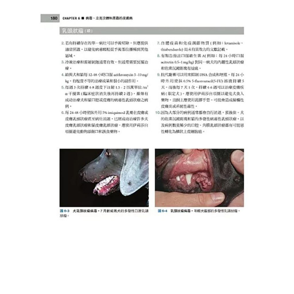 魏啥麻-《書》小動物皮膚病學(4版) (下單後進貨) 專業獸醫書籍-細節圖9