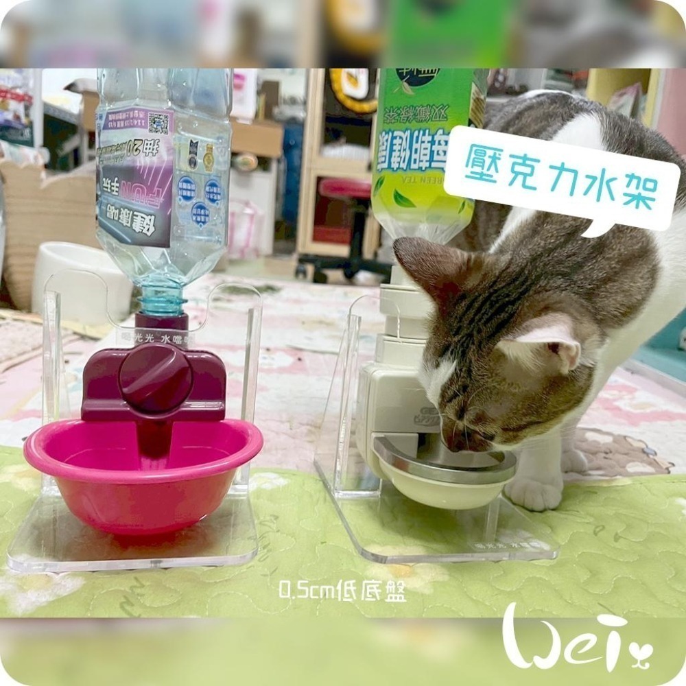 魏啥麻-高低底盤透明壓克力水碗架 / 飲水神器架 / 飲水器支架 (贈送 喝水小標語貼紙)-細節圖2