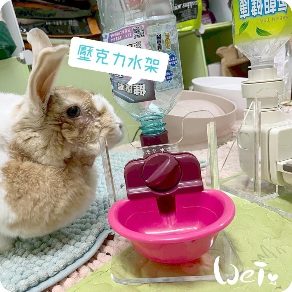 魏啥麻-高低底盤透明壓克力水碗架 / 飲水神器架 / 飲水器支架 (贈送 喝水小標語貼紙)-細節圖3