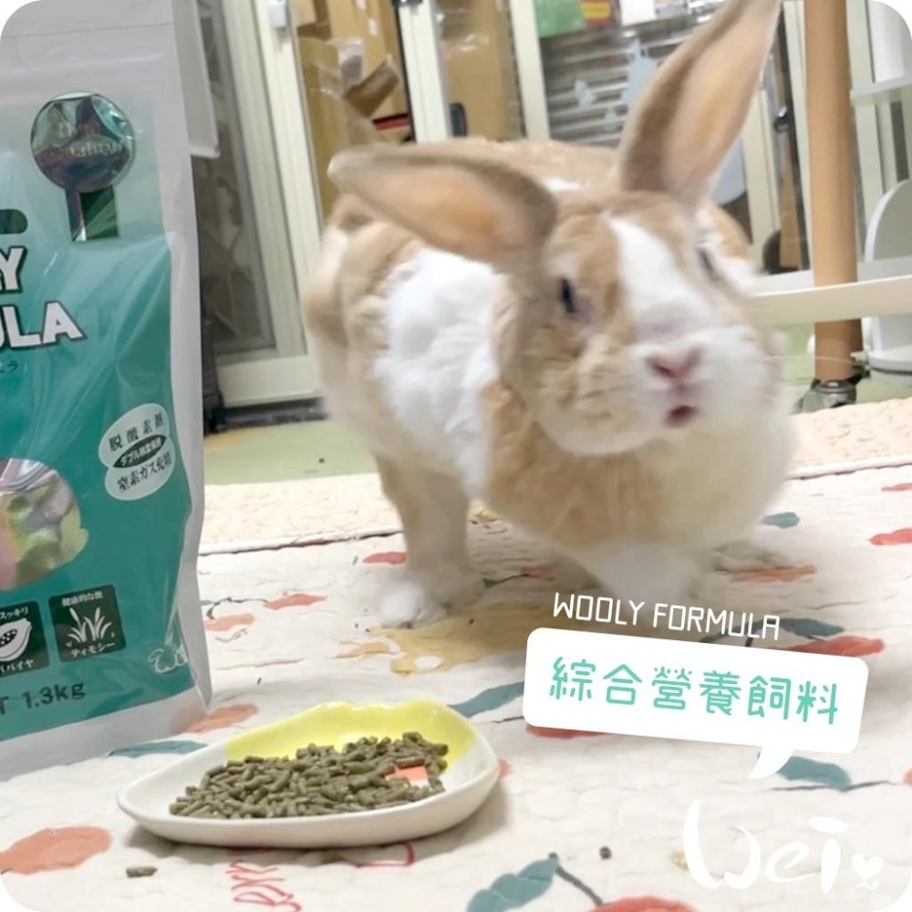 魏啥麻-日本WOOLY FORMULA綜合營養飼料 1.3g (較鬆軟 粗纖維高 蛋白質高 胺基酸含量高 蔓越)兔飼料-細節圖6