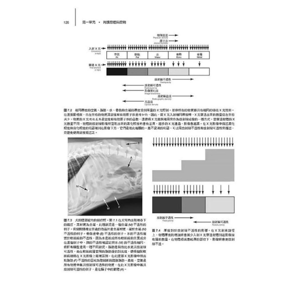魏啥麻-《書》獸醫放射診斷學 第七版 (下單後進貨) 專業獸醫書籍-細節圖3