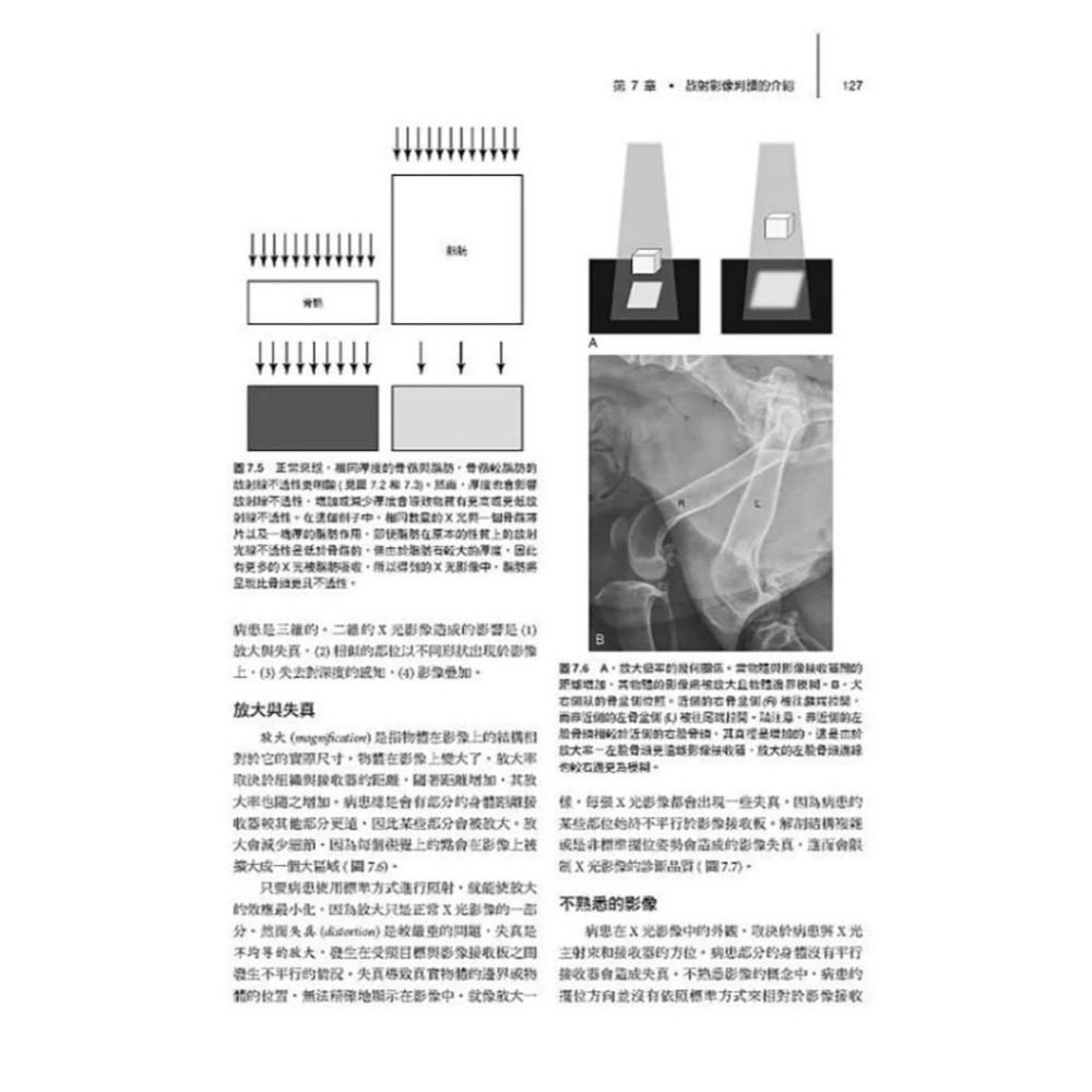 魏啥麻-《書》獸醫放射診斷學 第七版 (下單後進貨) 專業獸醫書籍-細節圖4