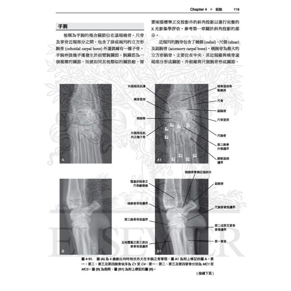 魏啥麻-《書》犬貓放射解剖學圖譜(2版)(下單後進貨) 專業獸醫書籍-細節圖2