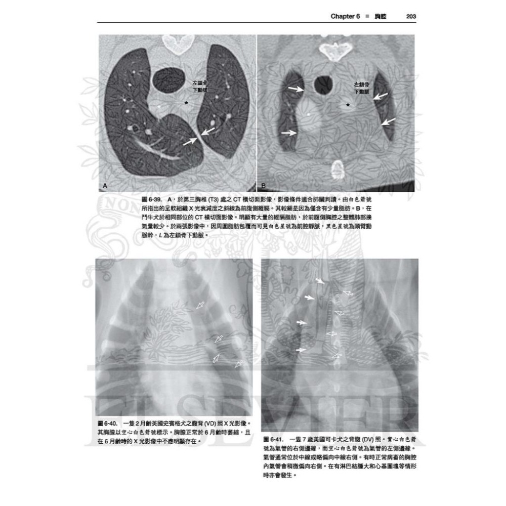 魏啥麻-《書》犬貓放射解剖學圖譜(2版)(下單後進貨) 專業獸醫書籍-細節圖5