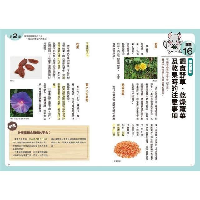 魏啥麻-《書》第一次養龍貓就上手 チンチラ飼育バイブル 長く元気に暮らす50のポイント-細節圖6