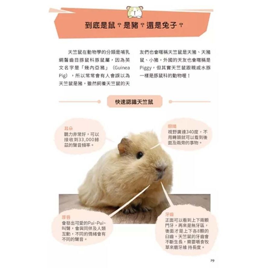 魏啥麻-《書》快樂天竺鼠完全飼育指南：從飼養方法到照護指引，最完整的全方位圖解小百科-細節圖5