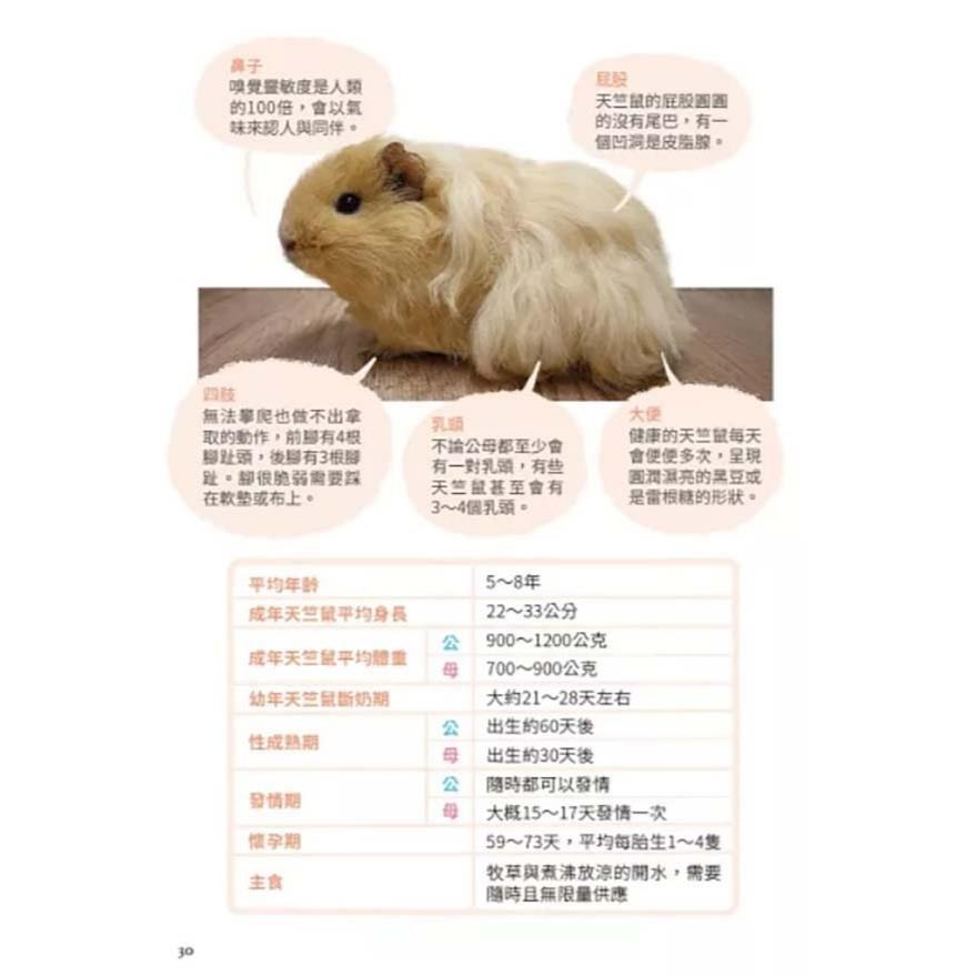 魏啥麻-《書》快樂天竺鼠完全飼育指南：從飼養方法到照護指引，最完整的全方位圖解小百科-細節圖6