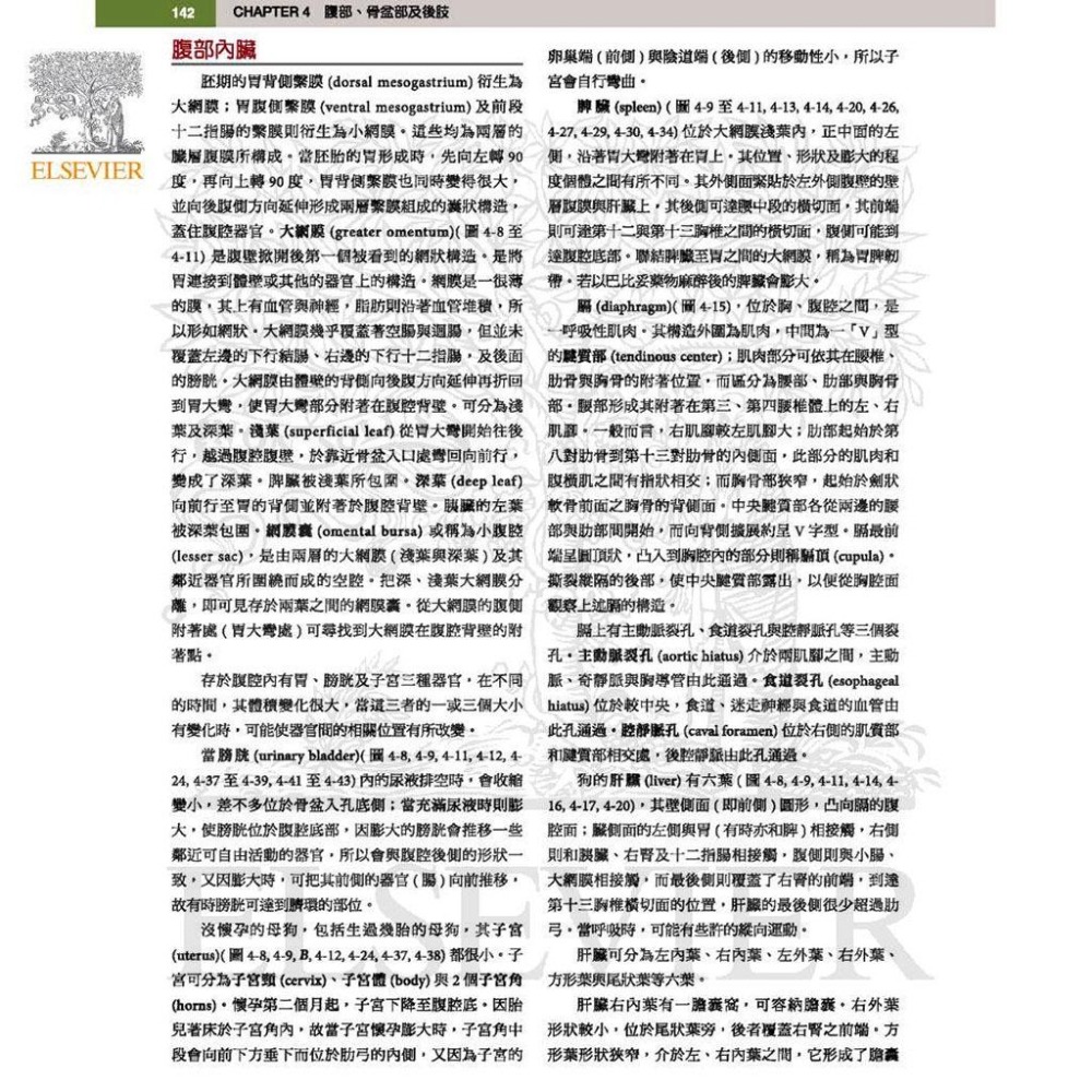 魏啥麻-《書》犬解剖指引第八版(下單後進貨) 專業獸醫書籍-細節圖5