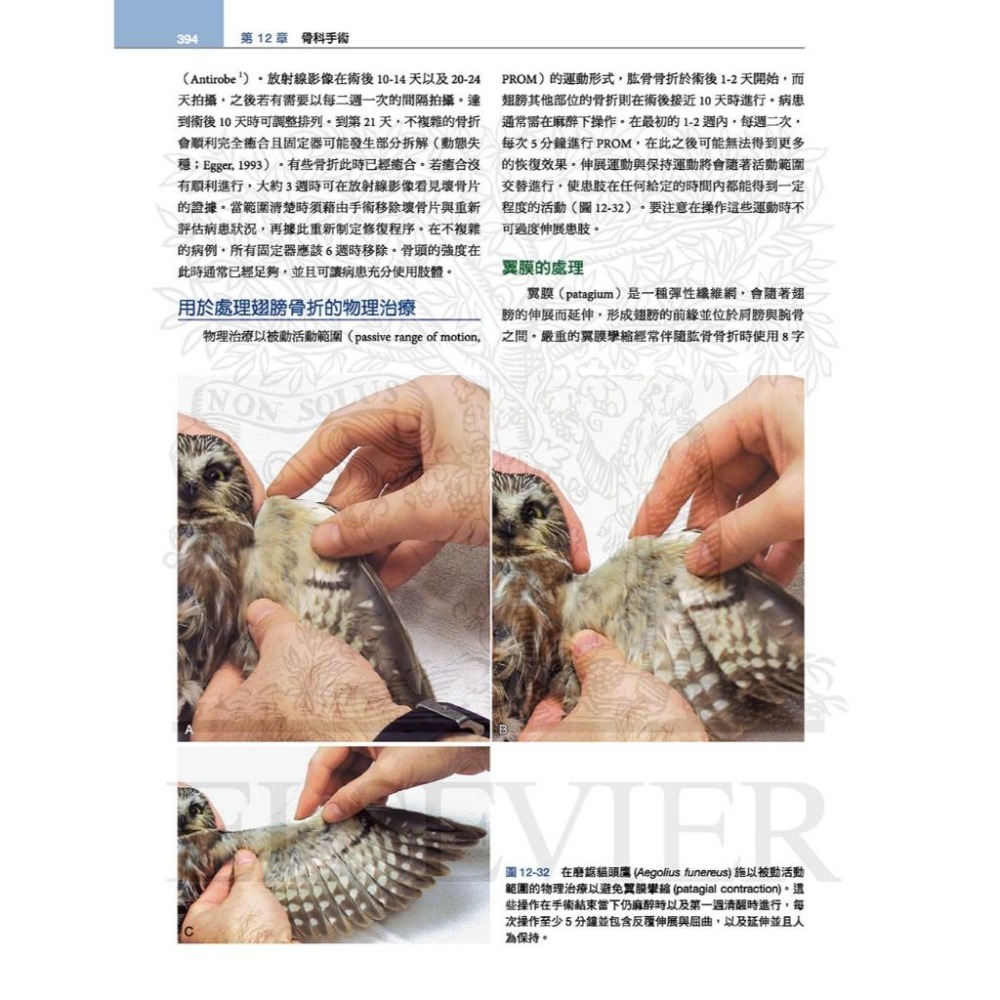 魏啥麻-《書》禽鳥類醫學，第三版(下單後進貨) 專業獸醫書籍-細節圖4