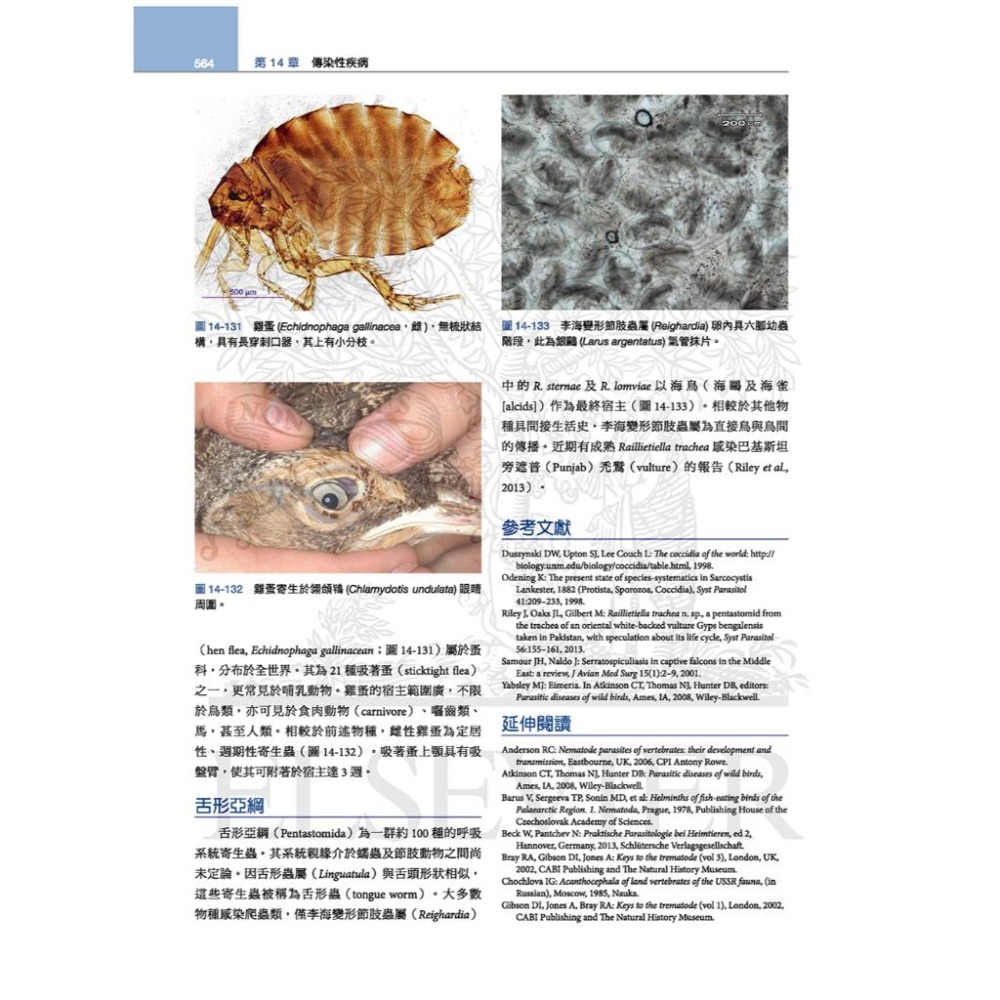 魏啥麻-《書》禽鳥類醫學，第三版(下單後進貨) 專業獸醫書籍-細節圖6