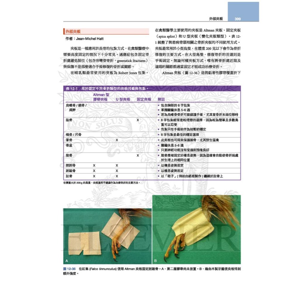 魏啥麻-《書》禽鳥類醫學，第三版(下單後進貨) 專業獸醫書籍-細節圖8