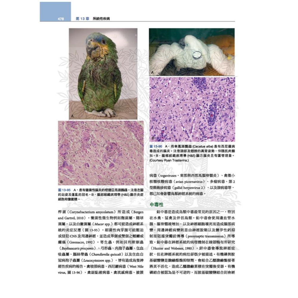 魏啥麻-《書》禽鳥類醫學，第三版(下單後進貨) 專業獸醫書籍-細節圖9