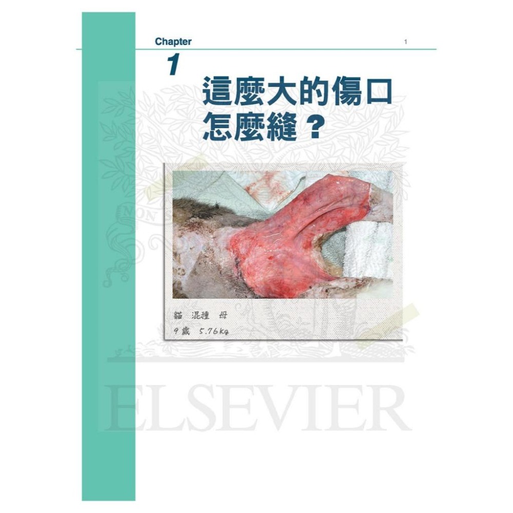 魏啥麻-《書》小動物臨床病例精選，第一部 (下單後進貨) 專業獸醫書籍-細節圖2