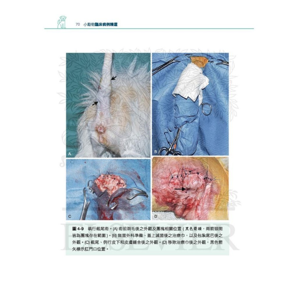 魏啥麻-《書》小動物臨床病例精選，第一部 (下單後進貨) 專業獸醫書籍-細節圖3