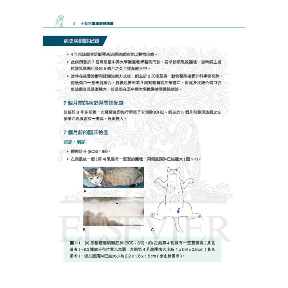 魏啥麻-《書》小動物臨床病例精選，第一部 (下單後進貨) 專業獸醫書籍-細節圖6